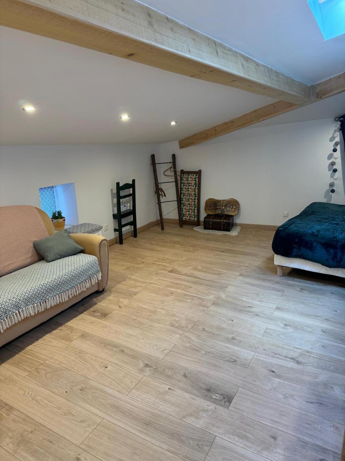 Le Pat' Toit A La Traboule Villa Aurec-Sur-Loire Ngoại thất bức ảnh